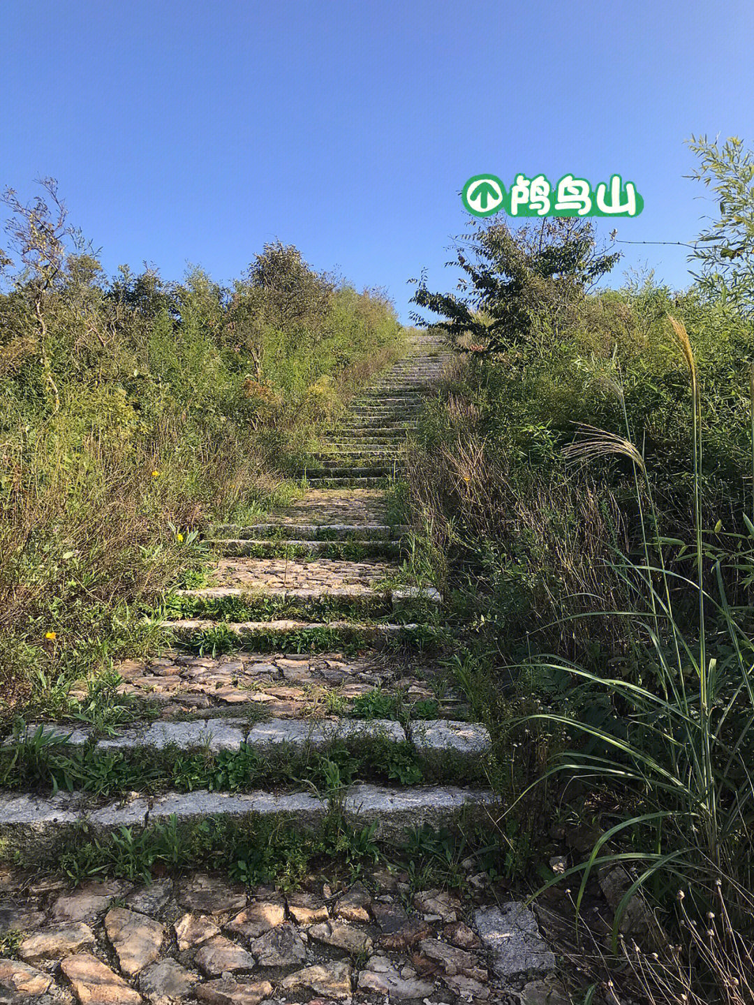 鸬鸟山泗溪村入口图片