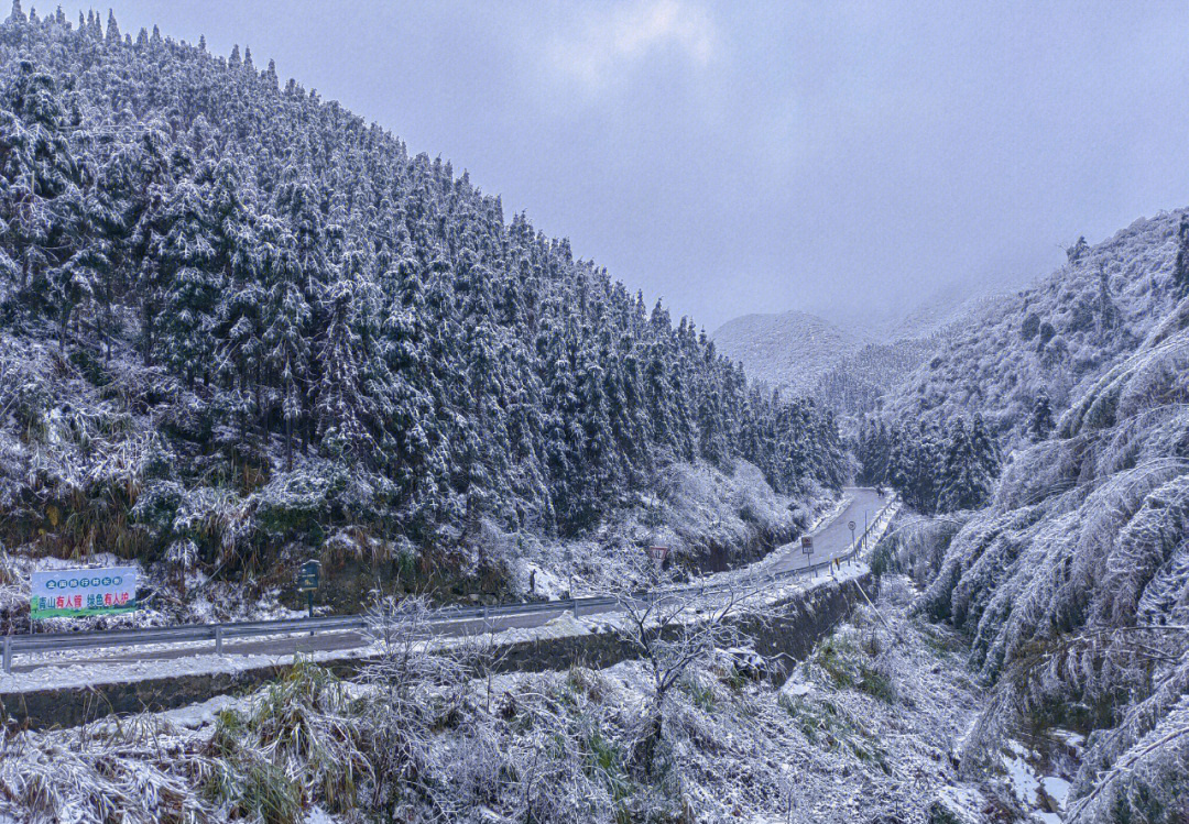 广东雪灾图片