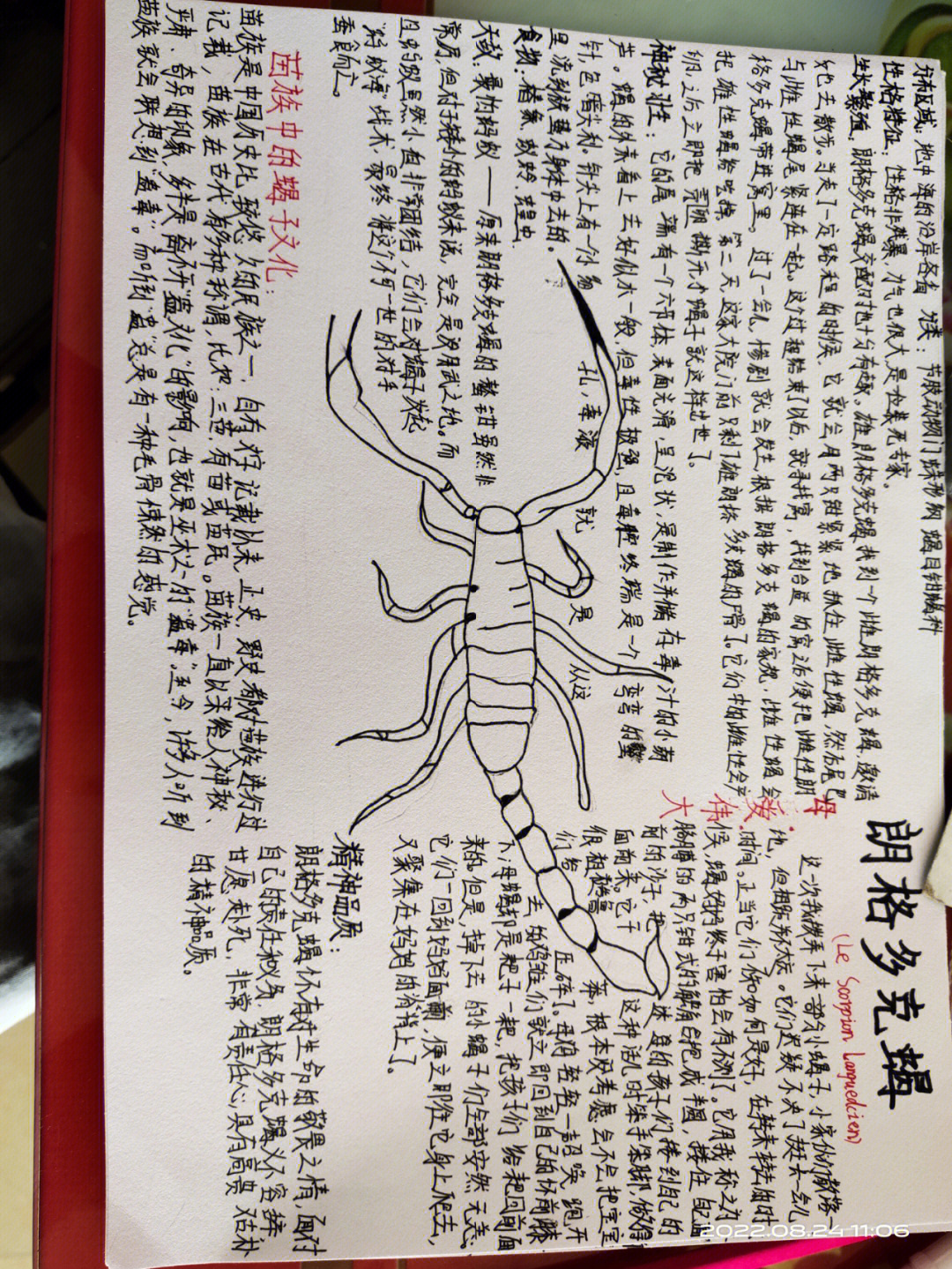 昆虫记螳螂介绍卡片图片