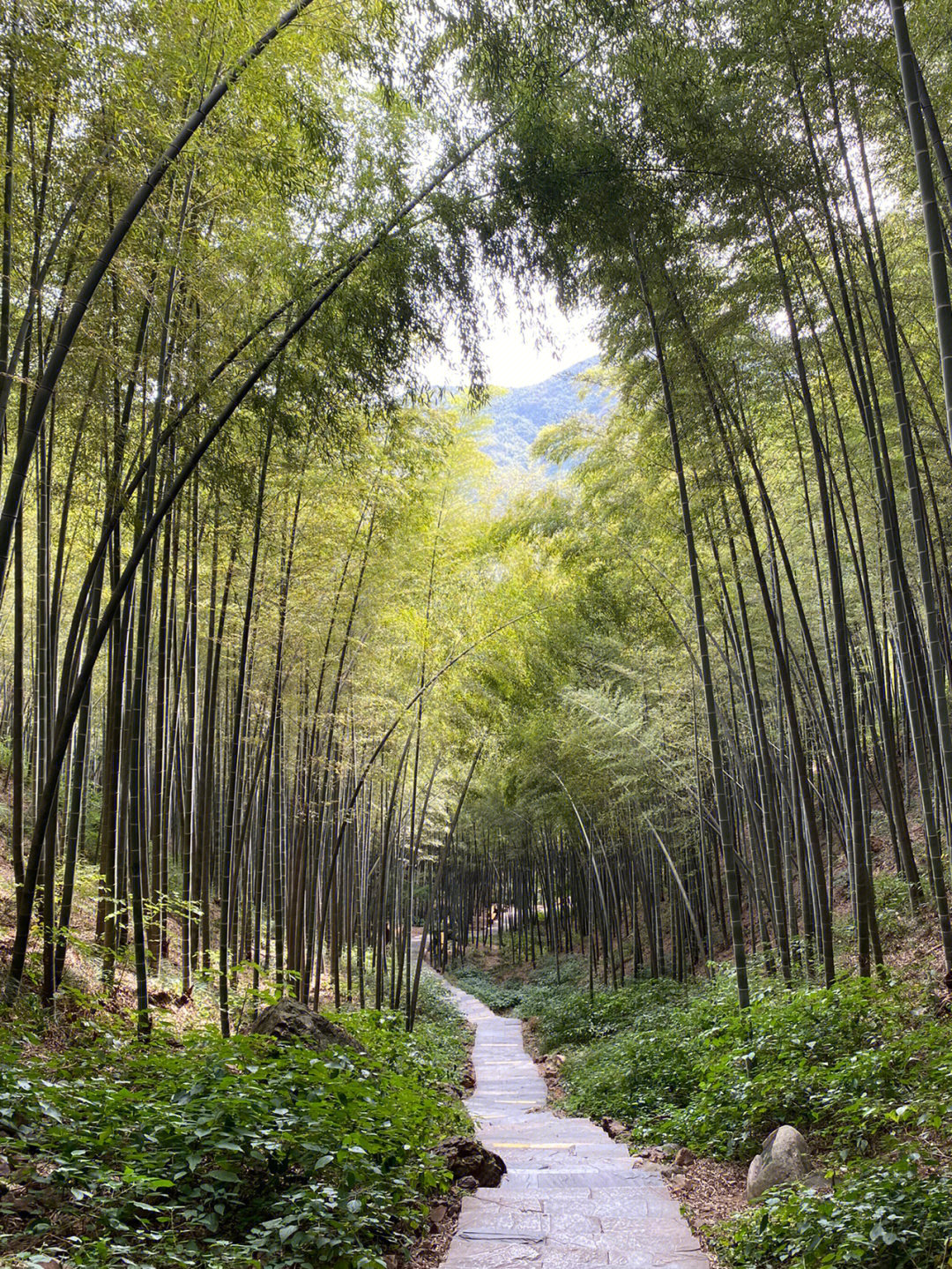 溧阳爬山图片