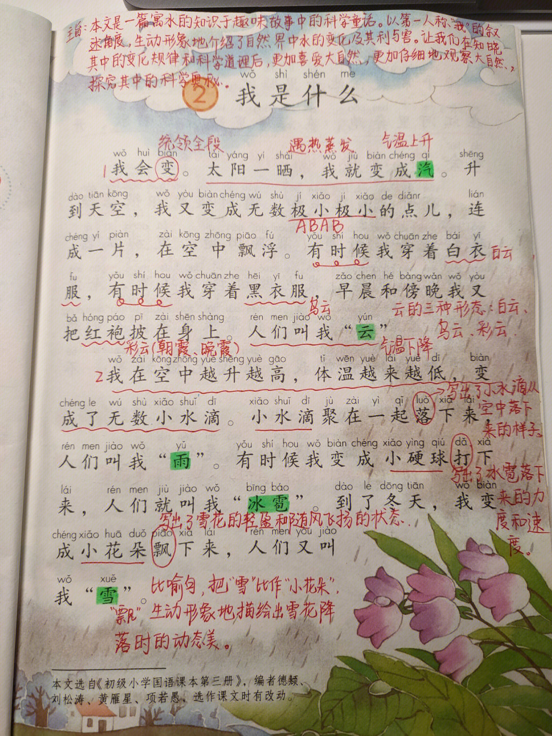 我是什么课文原文图片