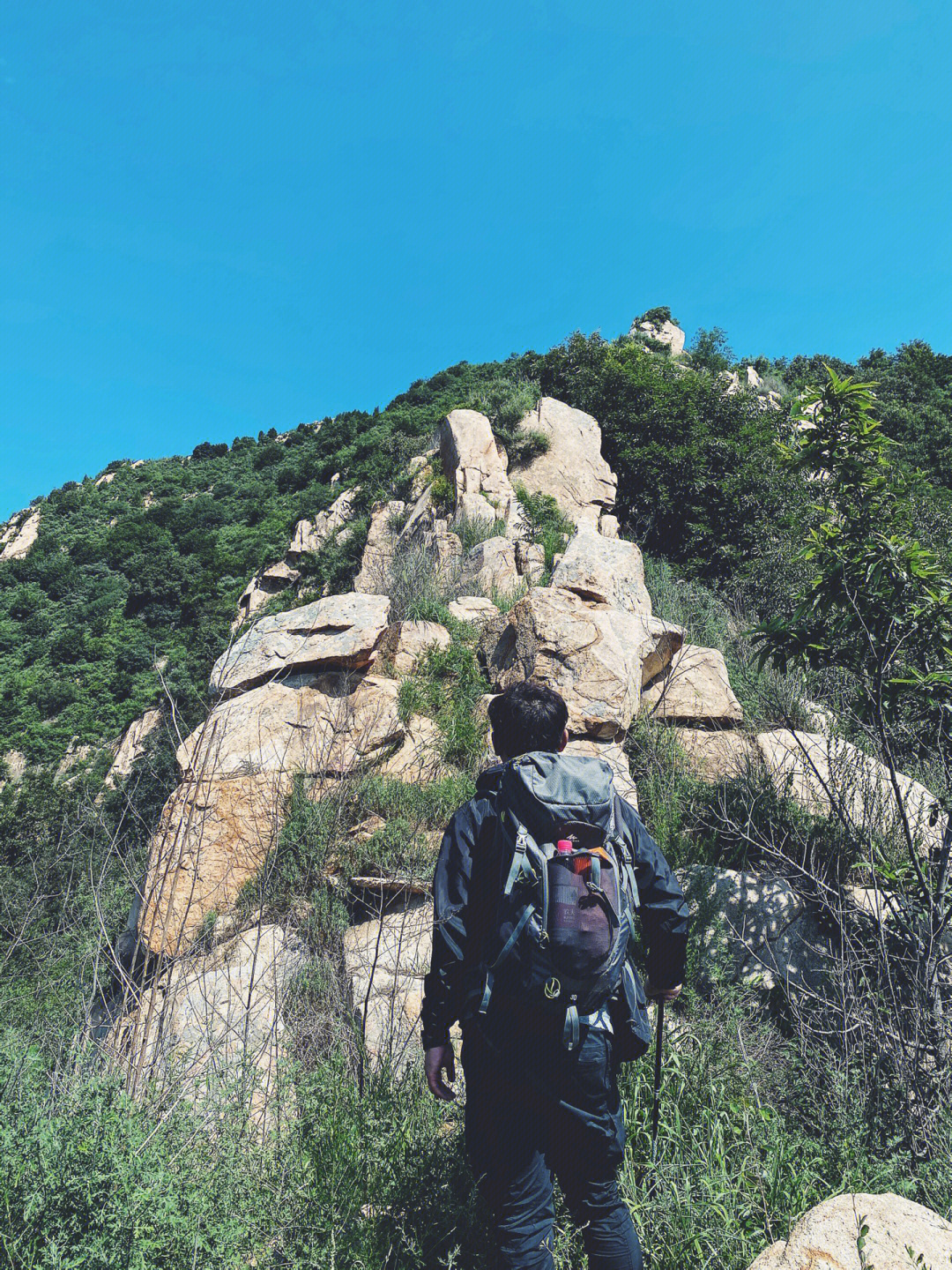 登山