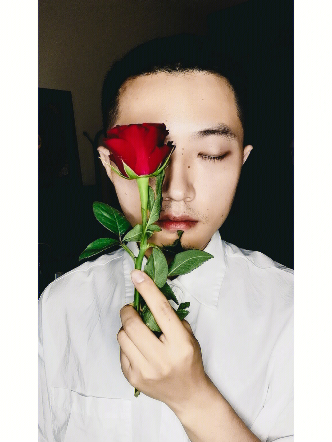玫瑰少年交响乐图片