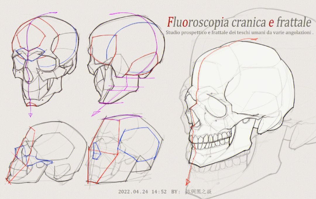 头骨绘画绘图图片