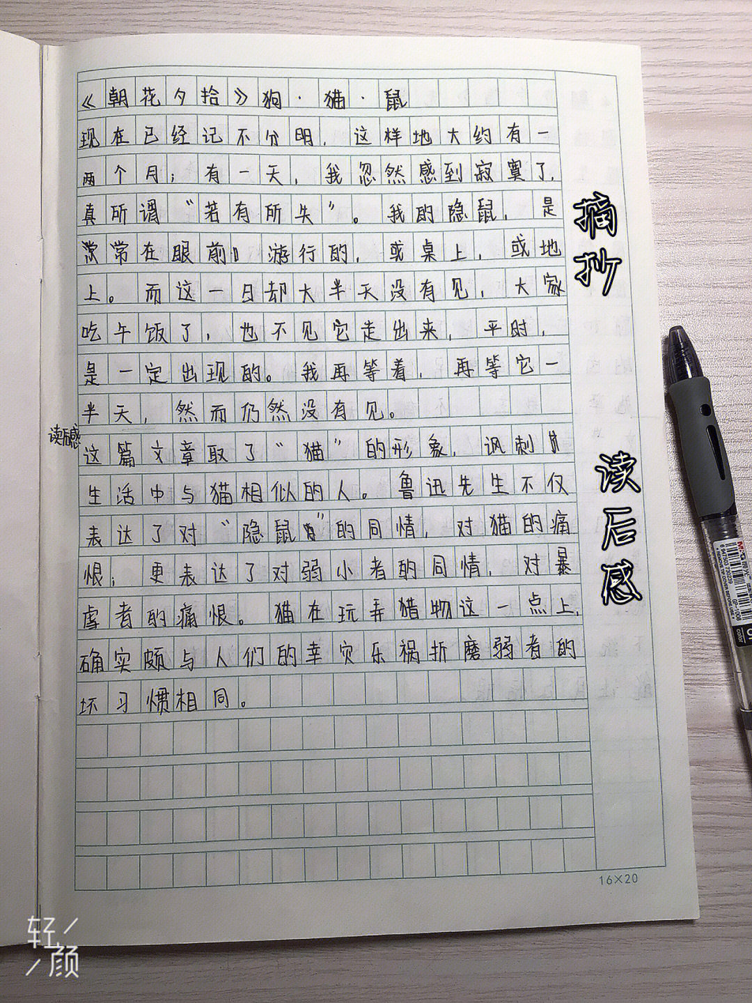 无常读后感100字图片