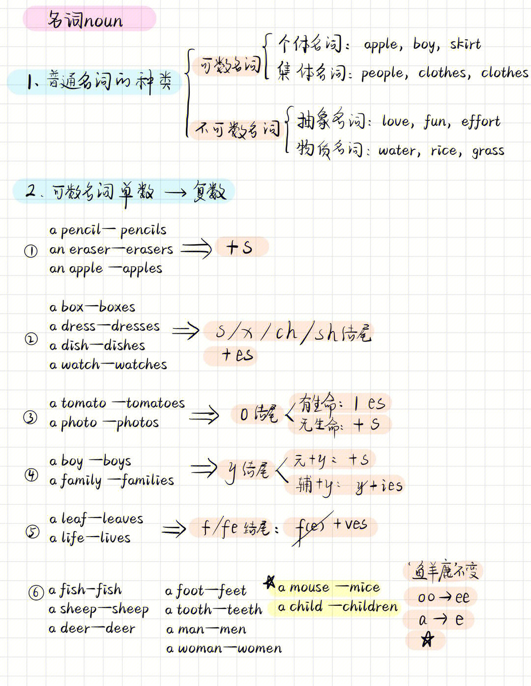 超详细名词单数变复数的规则