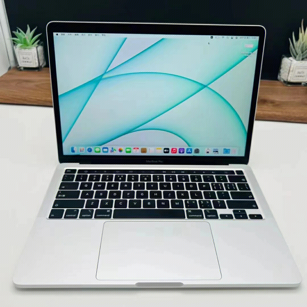 20款macbookpro英特尔图片