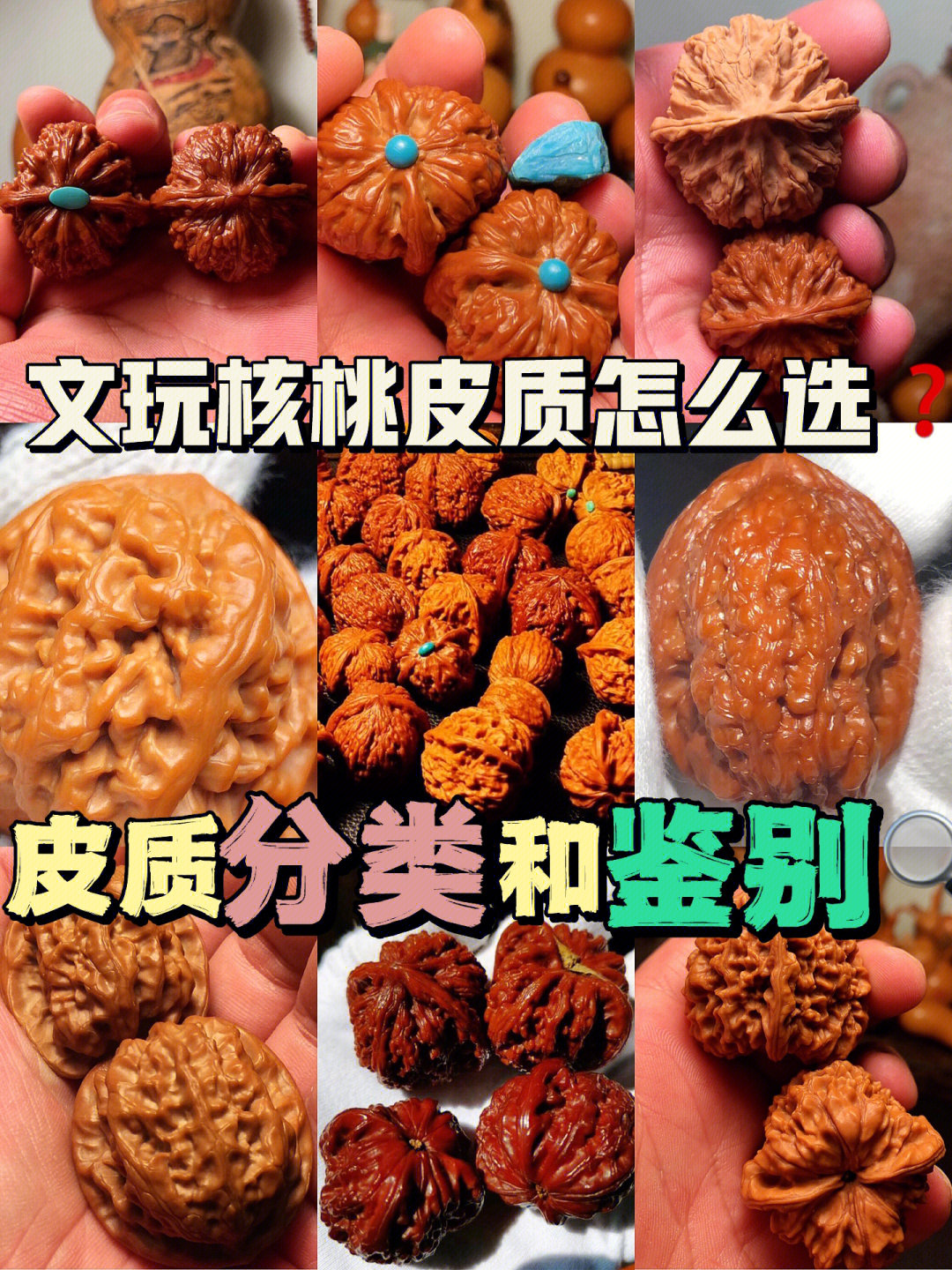 干货文玩核桃皮质分类和鉴别新手宝藏
