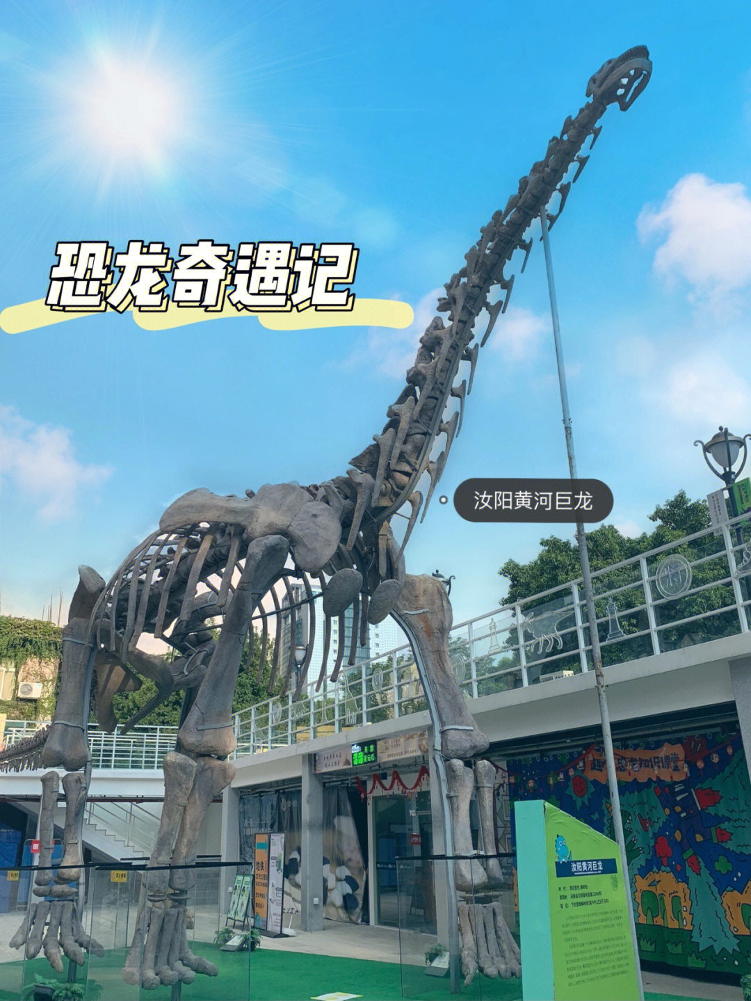 广州恐龙展图片