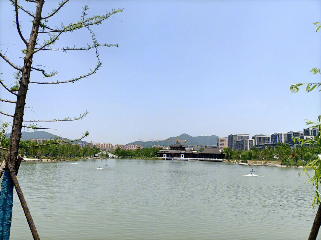 桃花湖公园 江干区图片
