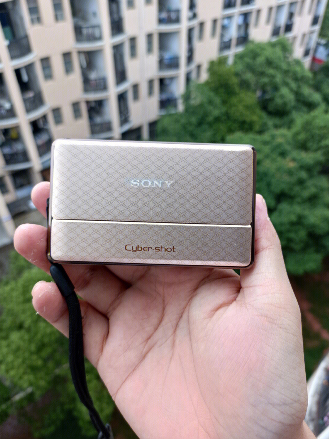 sonydsctx100数码相机图片