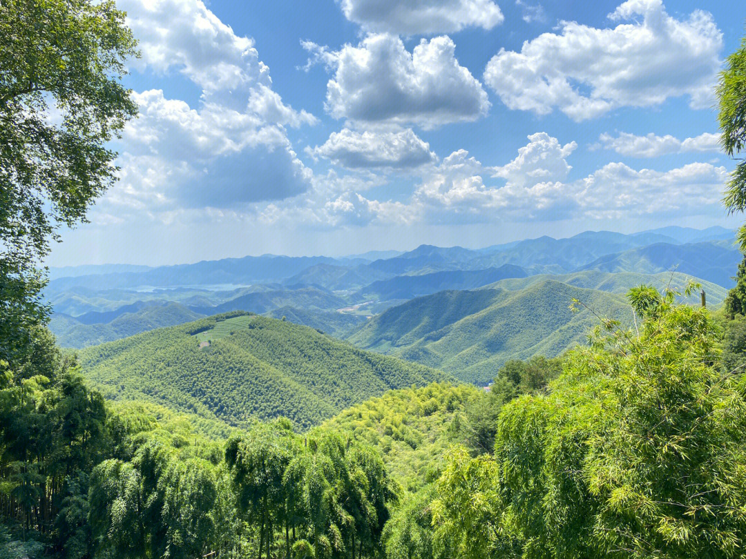 莫干山风景区游玩图片