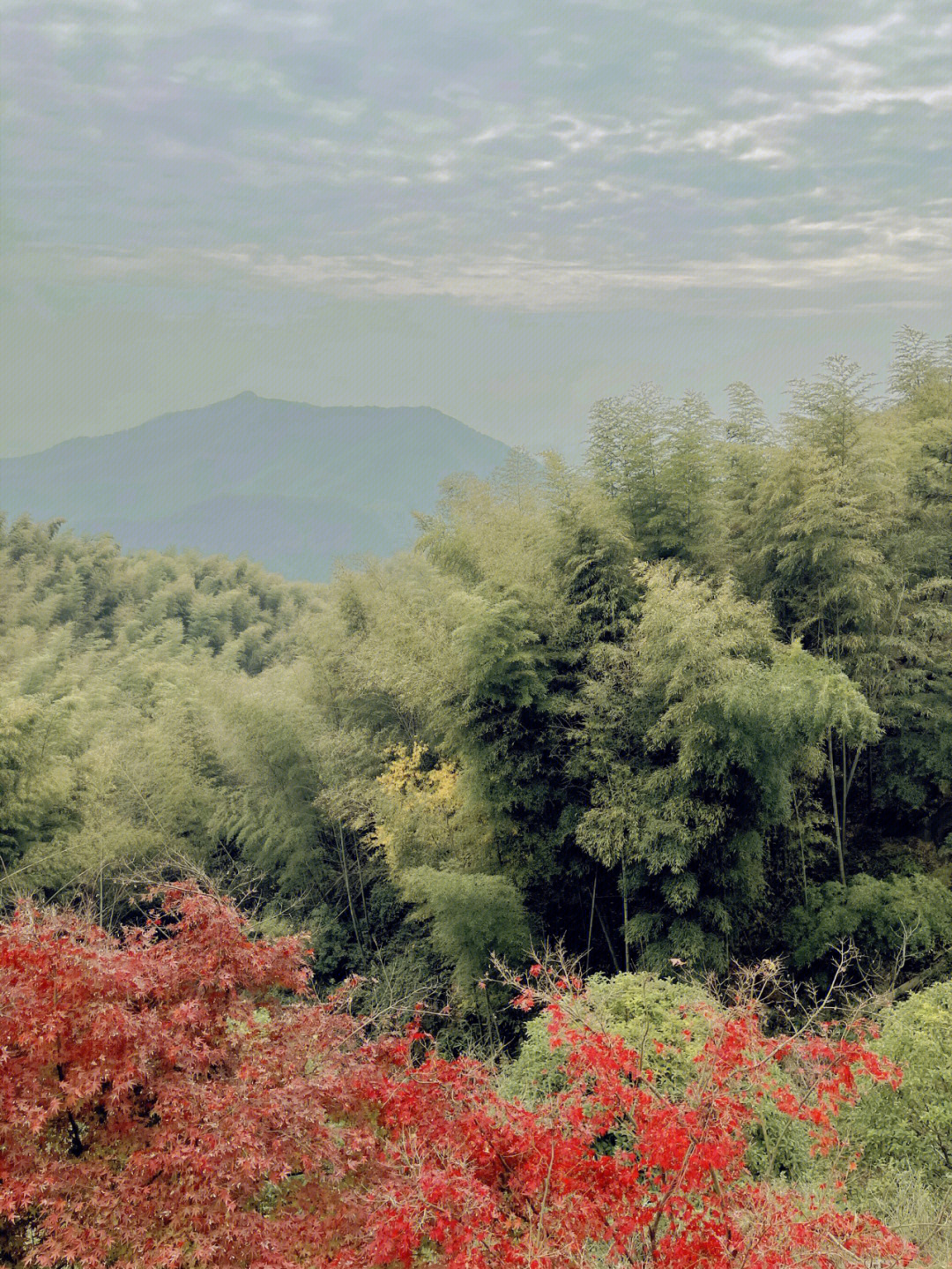 径山寺住持戒兴图片