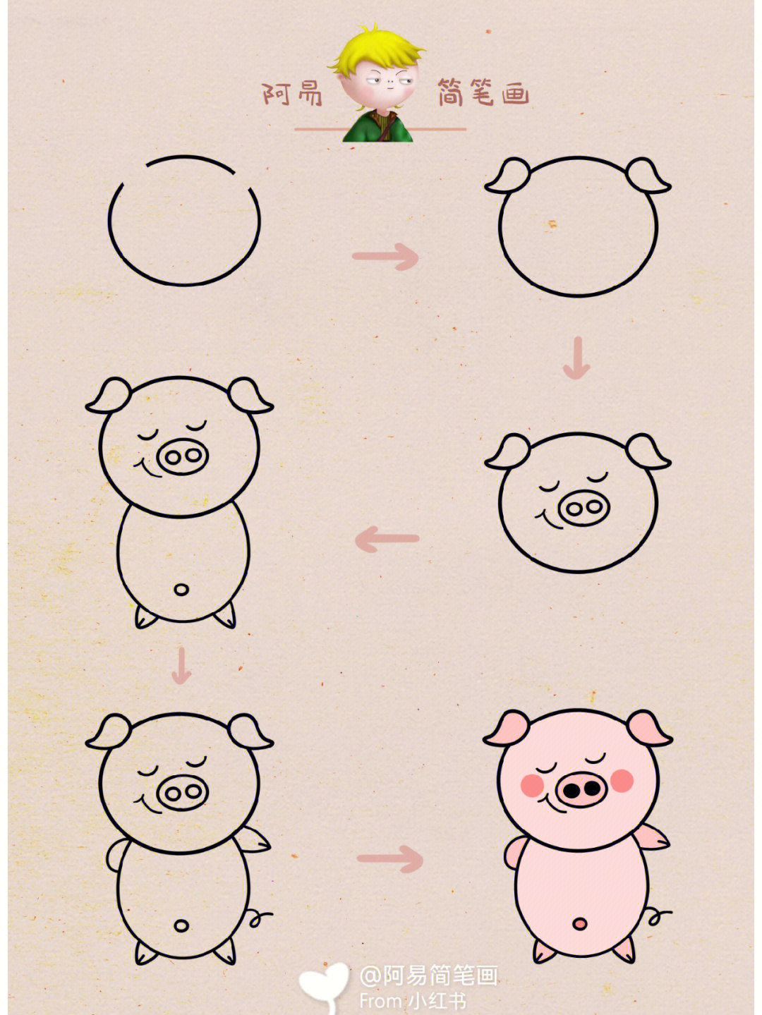 猪的简易画法图片