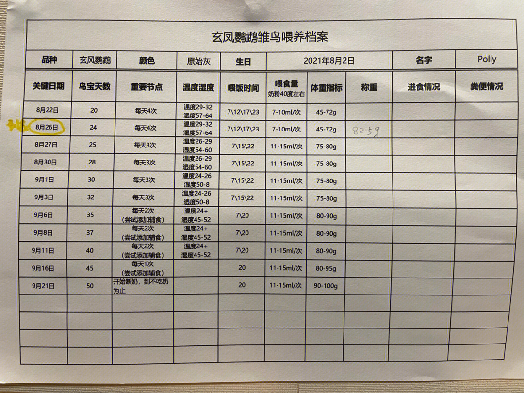 玄凤鹦鹉体重对照表图片