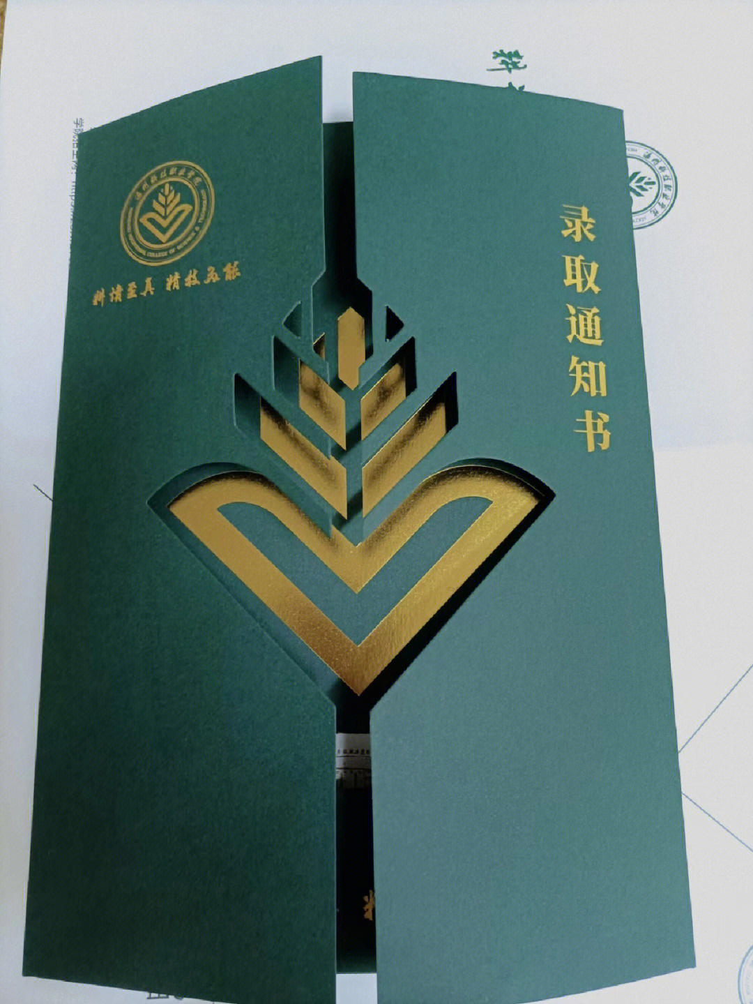 温州科技职业学院 logo图片