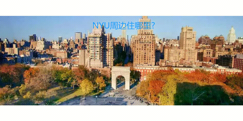 nyualbert图片