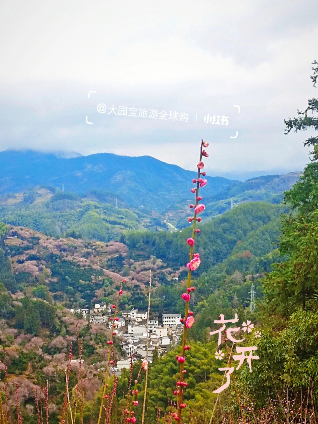 黄山梅花村图片