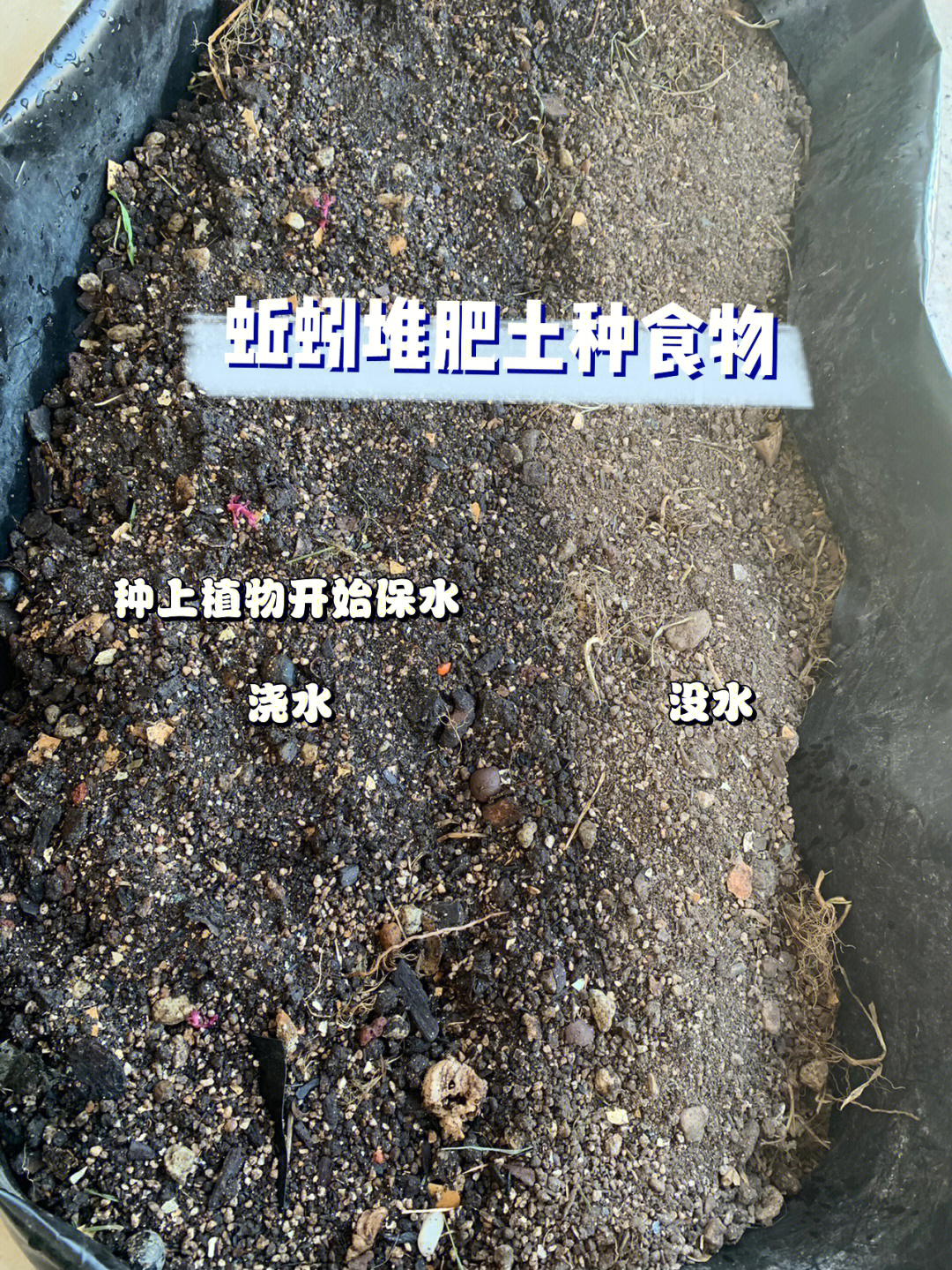 峰之种蚯蚓堆肥土种食物还买什么营养土