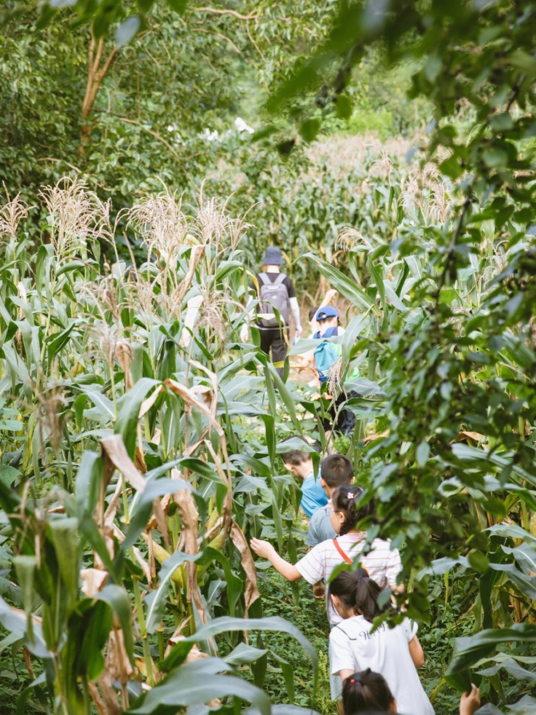 成都巴比松艺术学校图片