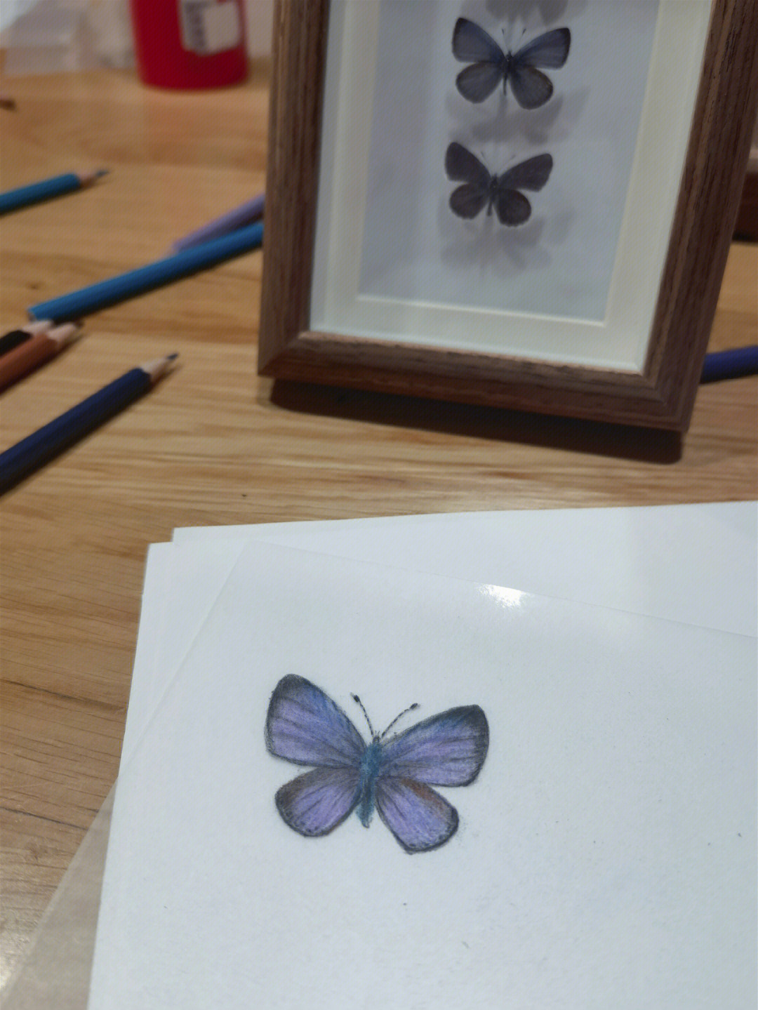 第一次玩热缩片,画了最喜欢的小灰蝶缩完之后比最小的灰蝶还要小一圈
