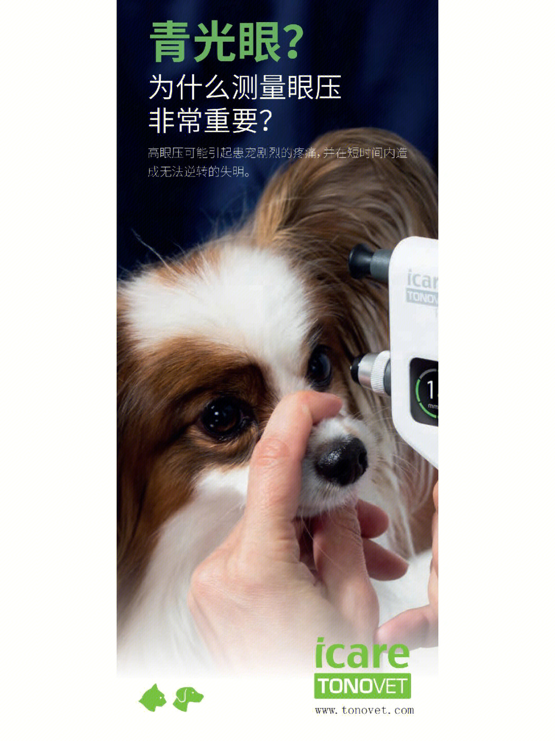 青光眼为什么宠物测量眼压很重要