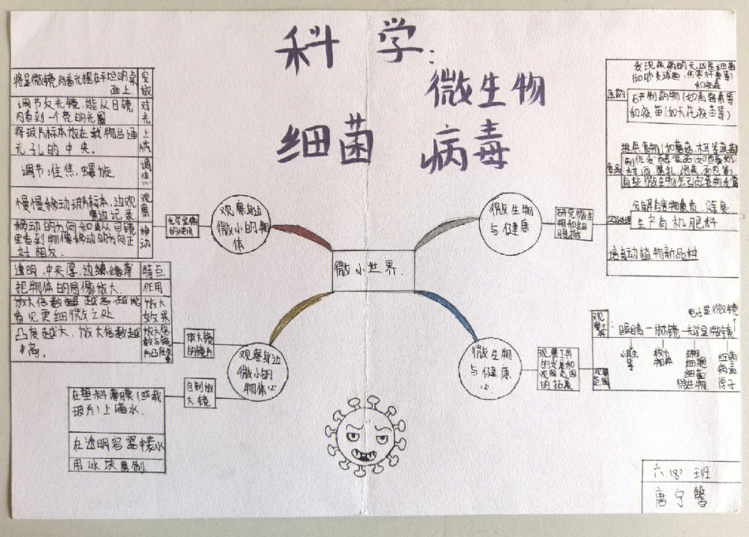 科学第一单元思维导图图片