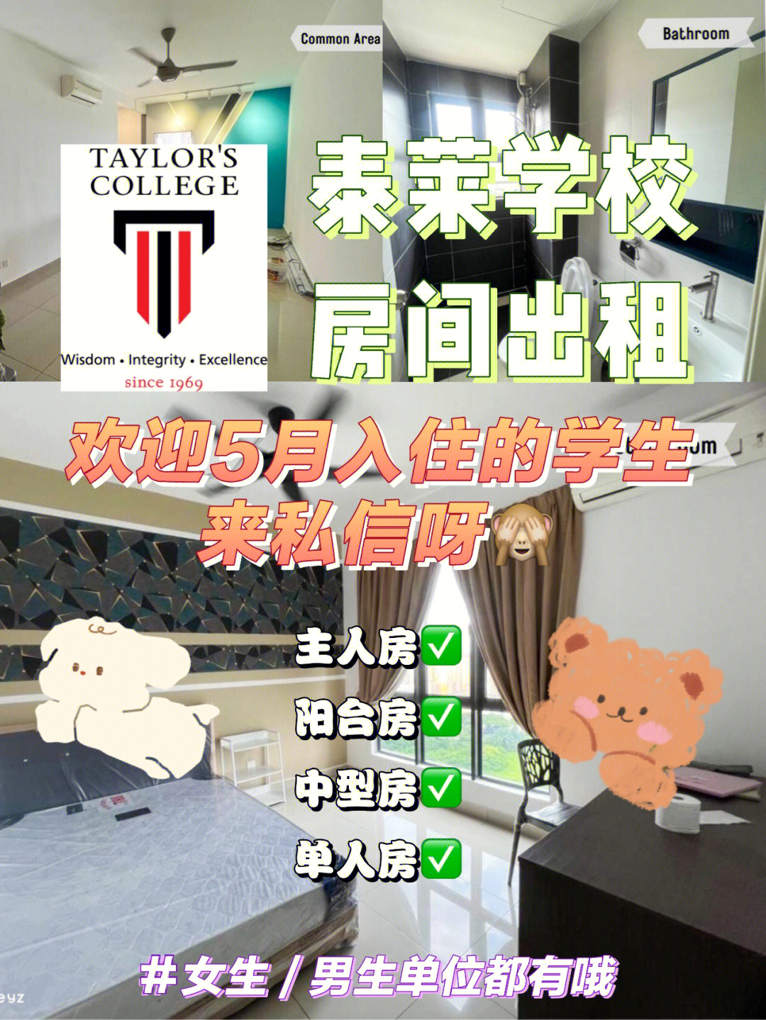 泰莱大学宿舍照片图片