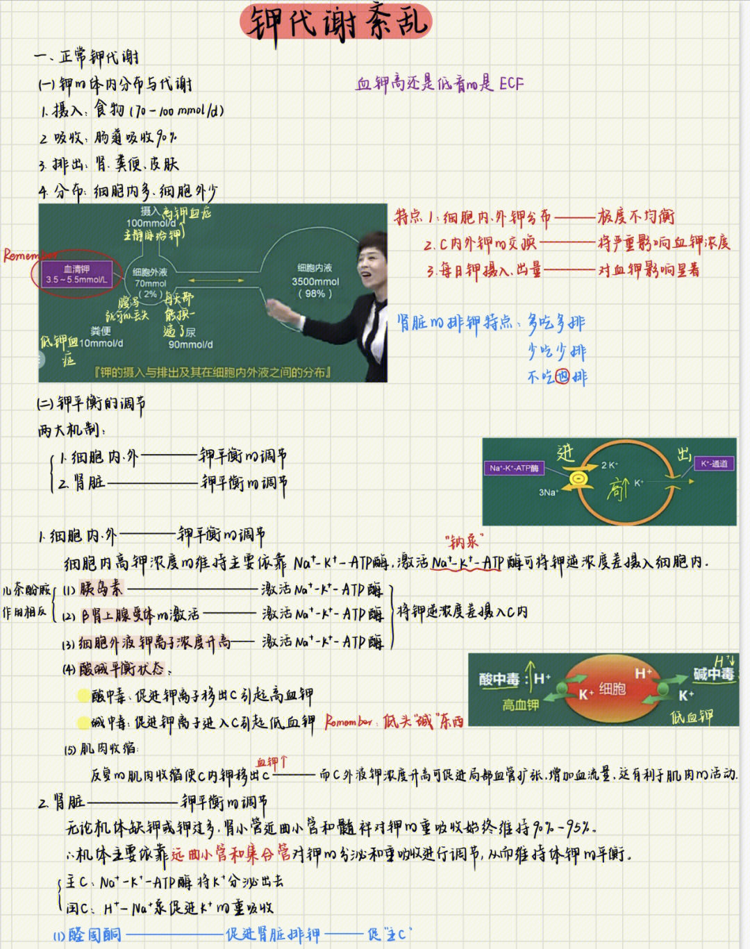 钾代谢异常思维导图图片