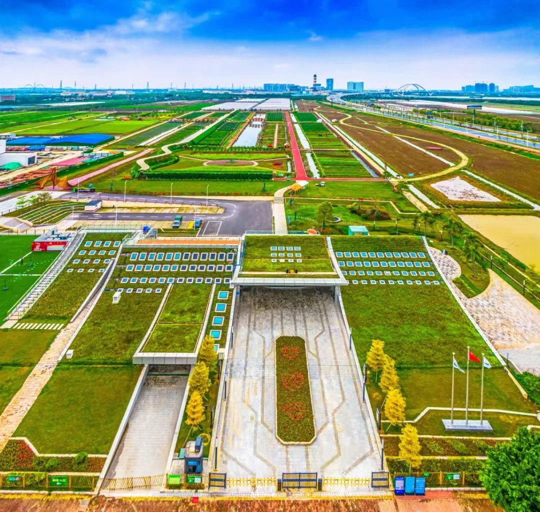 广州南沙明珠农业园图片