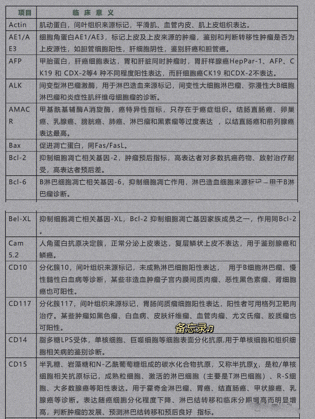 医学生必备肿瘤免疫组化标志物