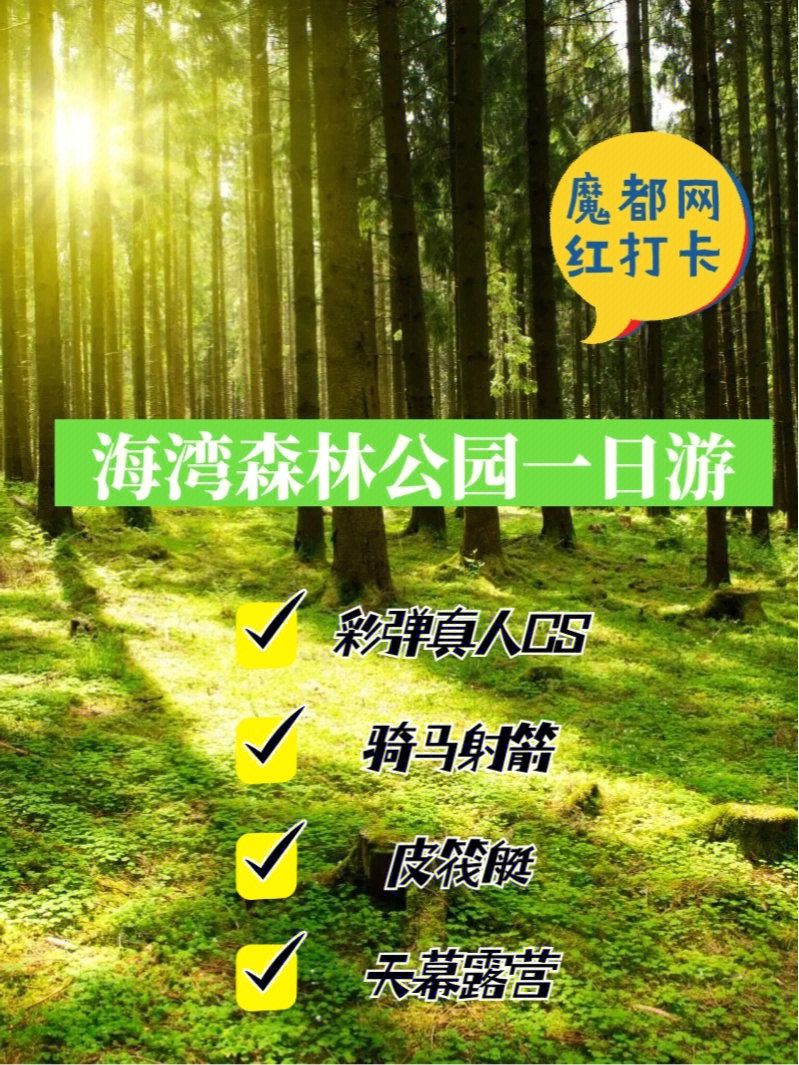 上海海湾森林公园地址图片