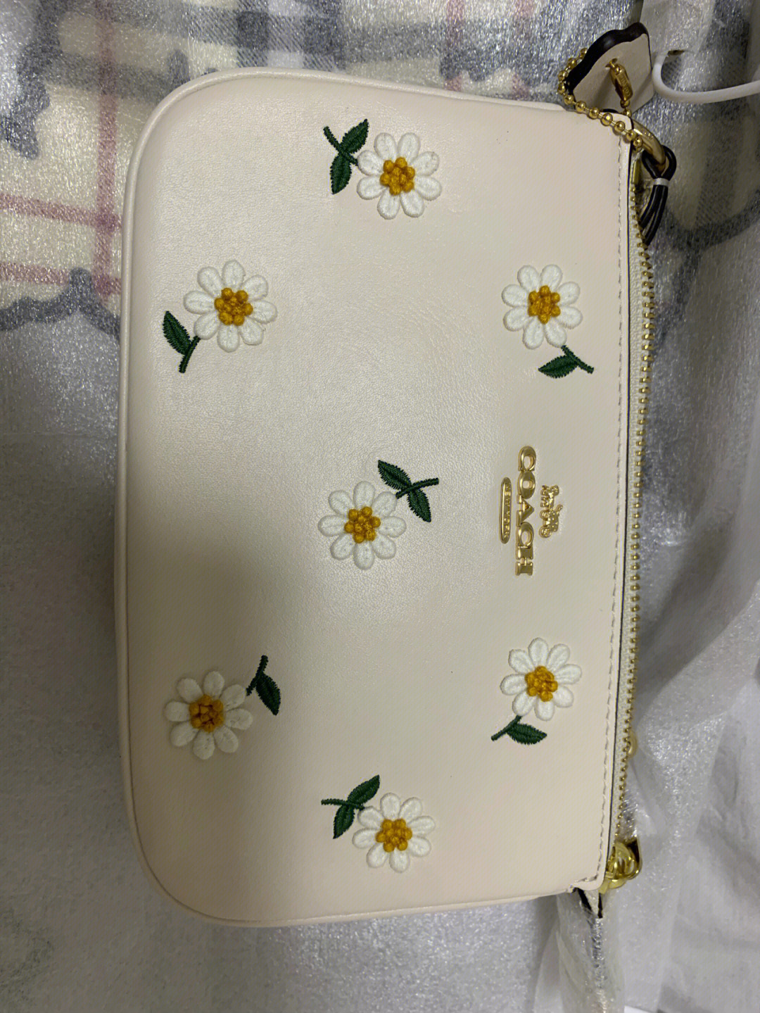 coach4月新品小雏菊图片