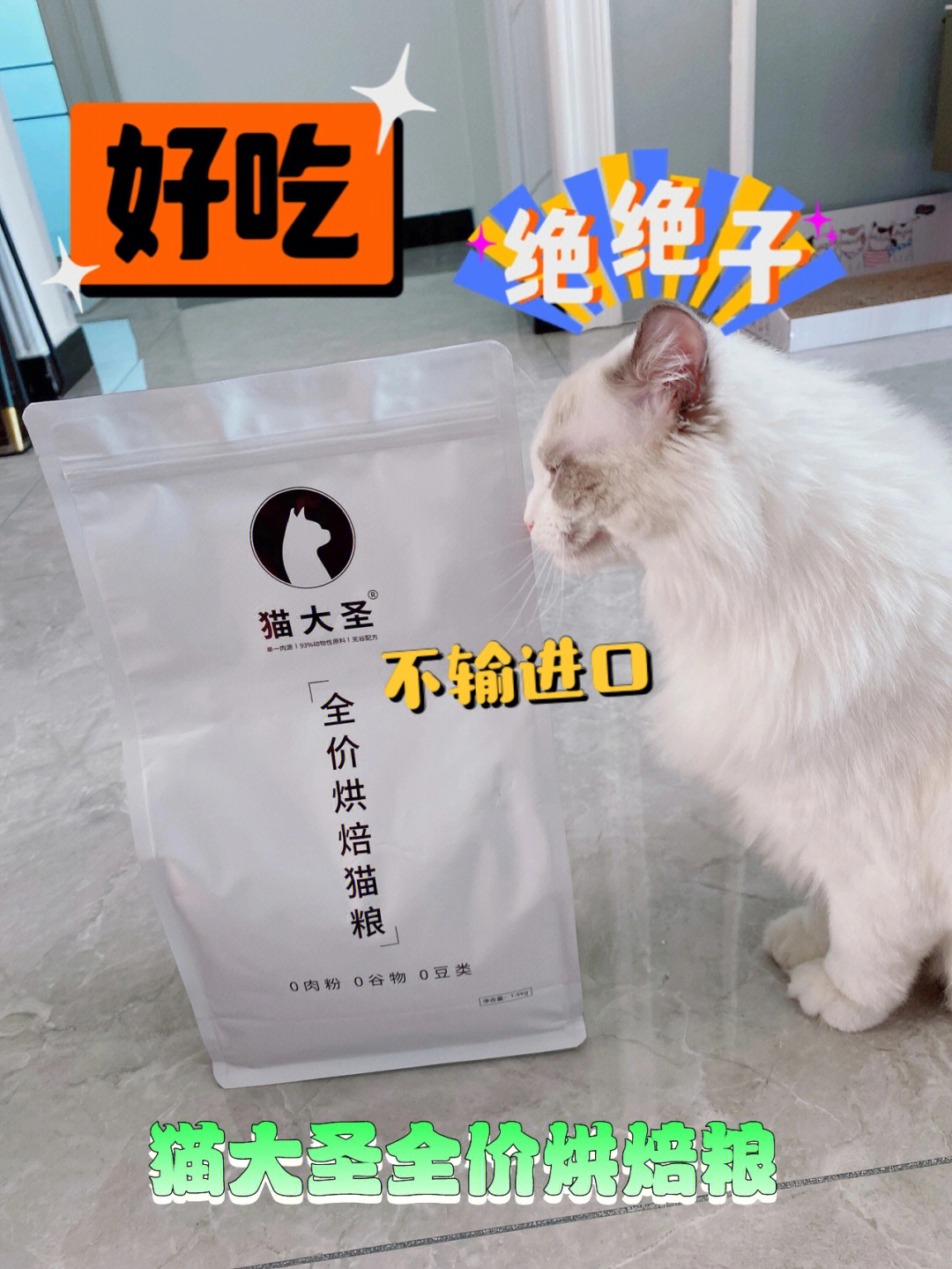 性价比很高的国产猫粮真的不输进口