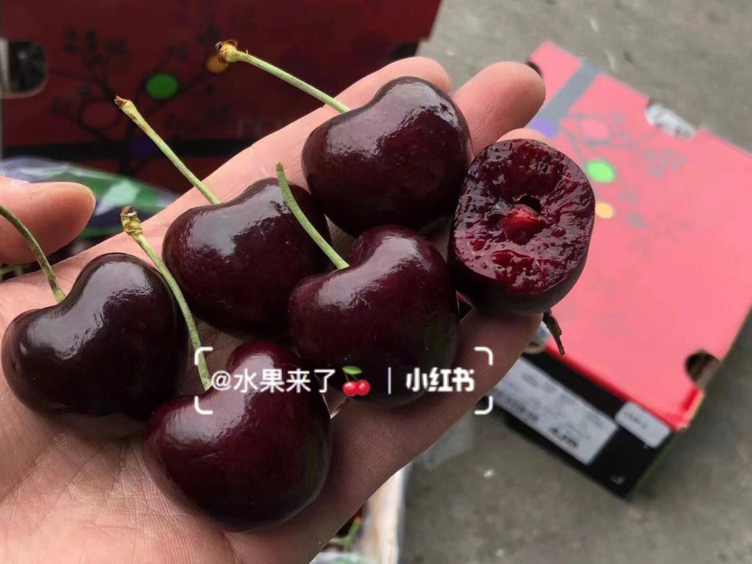 车厘子大小xjd图片