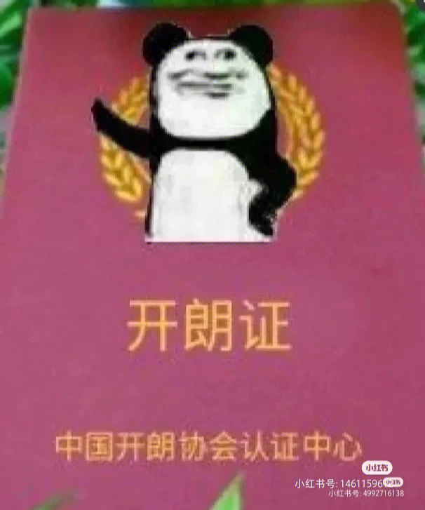 开朗证和开朗网友头像