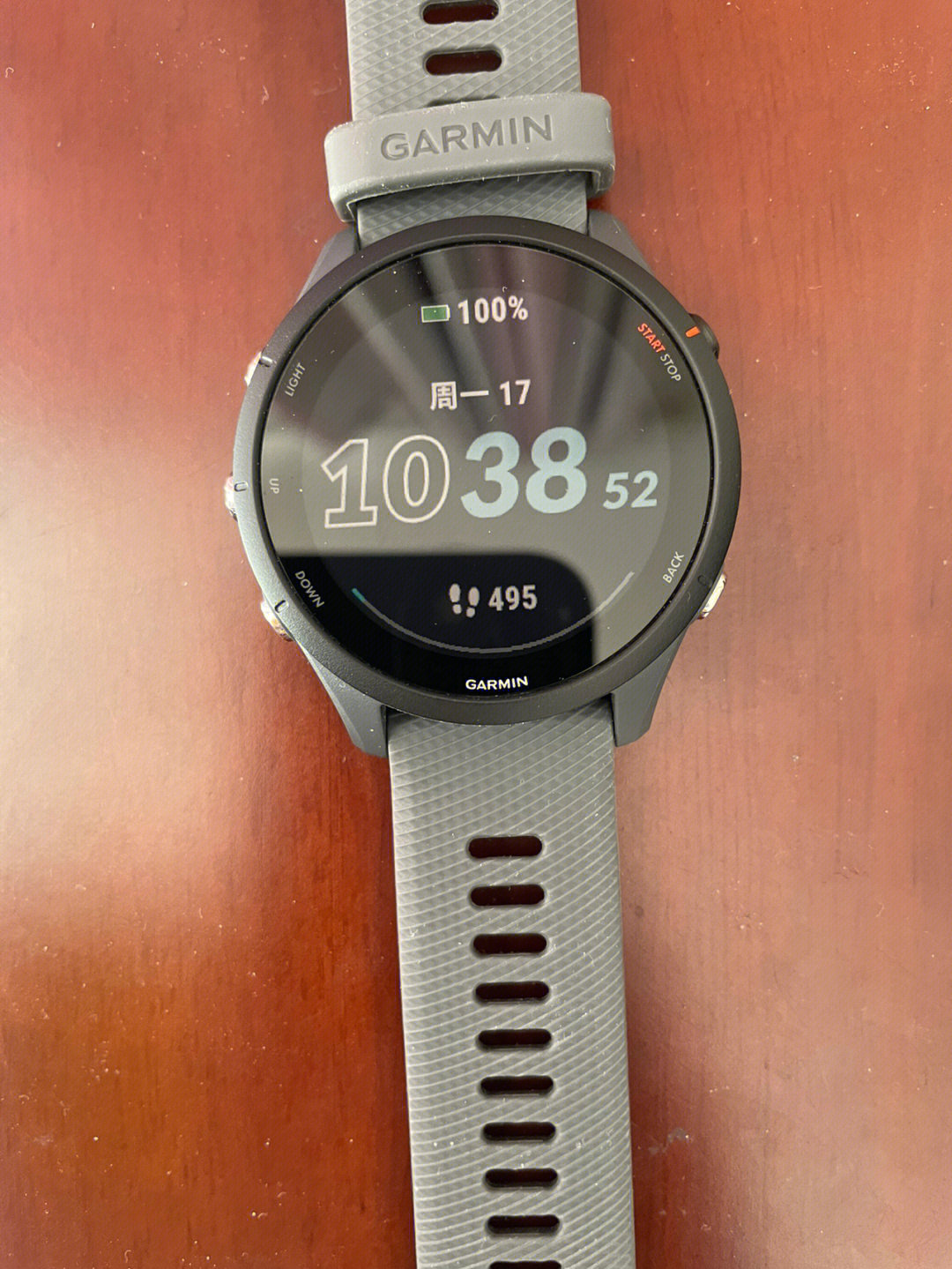 garmin佳明forerunner 255产品体验报告