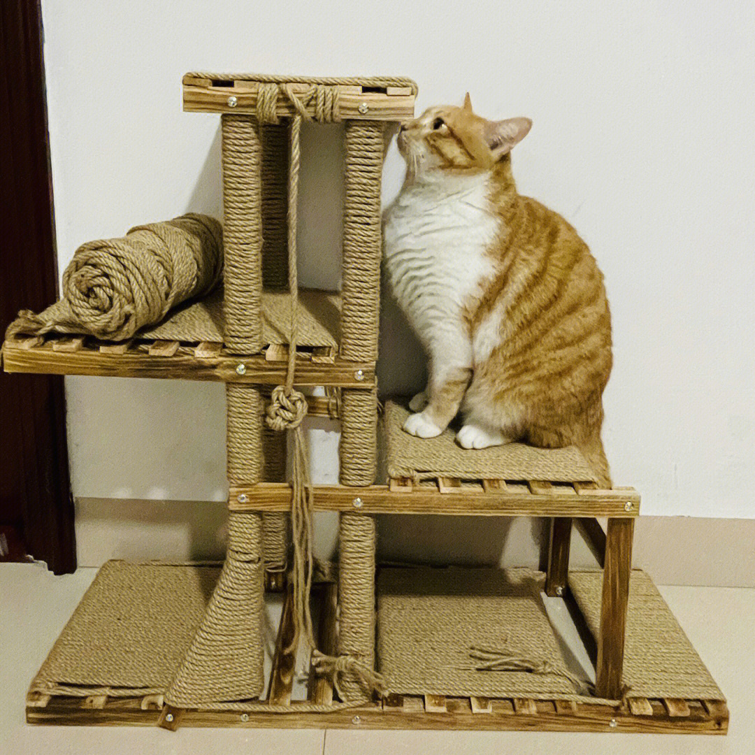纸板自制猫爬架图片