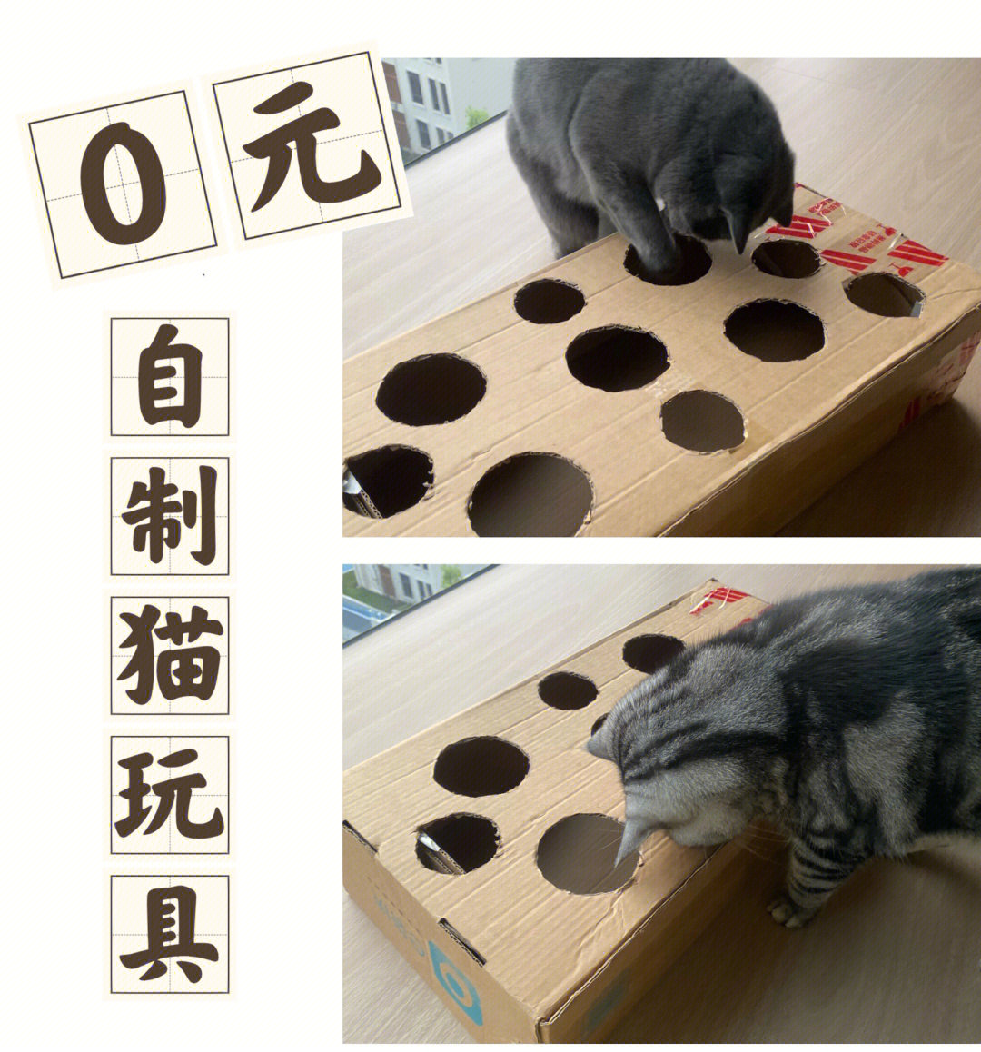 0元自制猫玩具