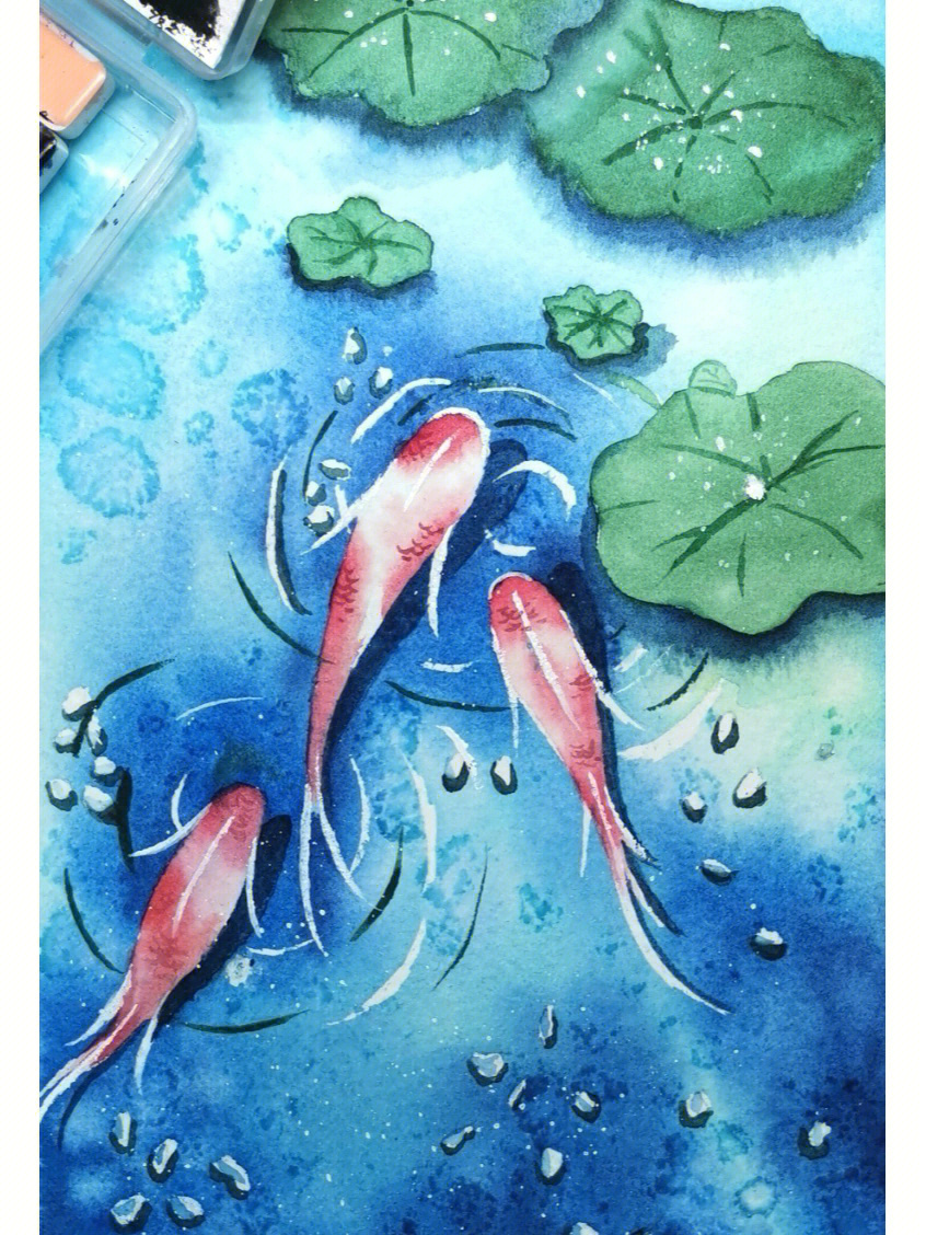 锦鲤简单水彩画图片