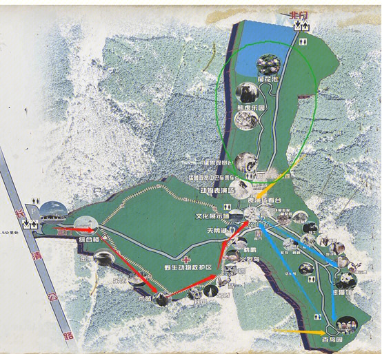 东北虎园地图图片