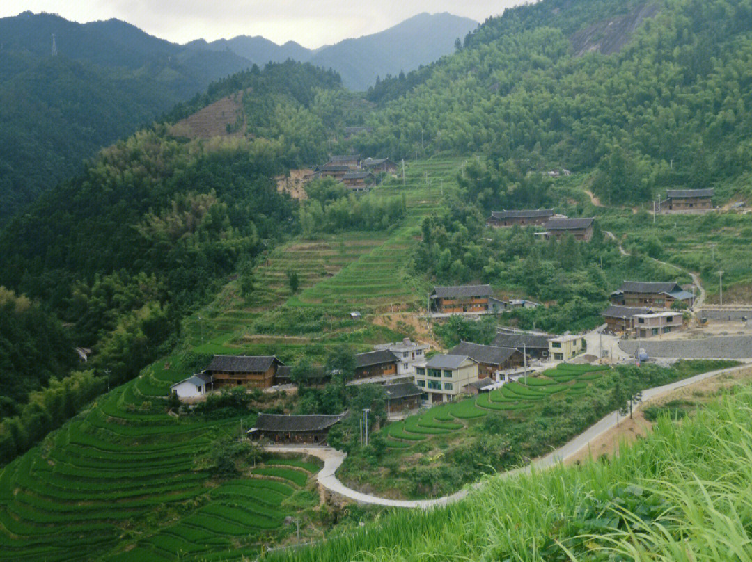 山背花瑶梯田最佳时间图片