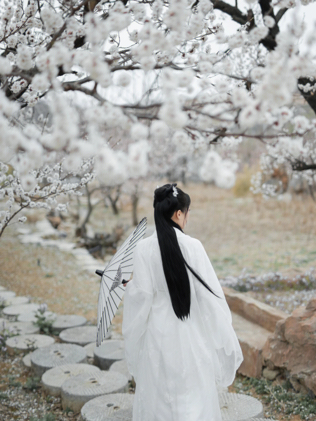 一汀烟雨杏花寒北方初春的汉服写真