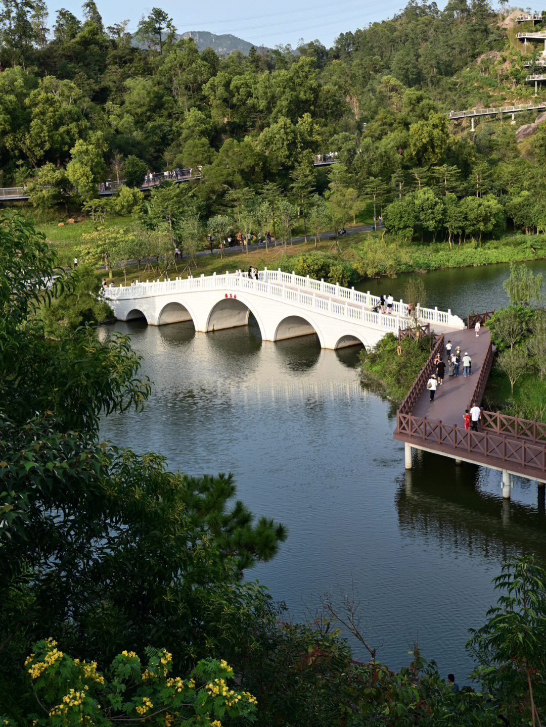 香山湖公园云栈道图片图片