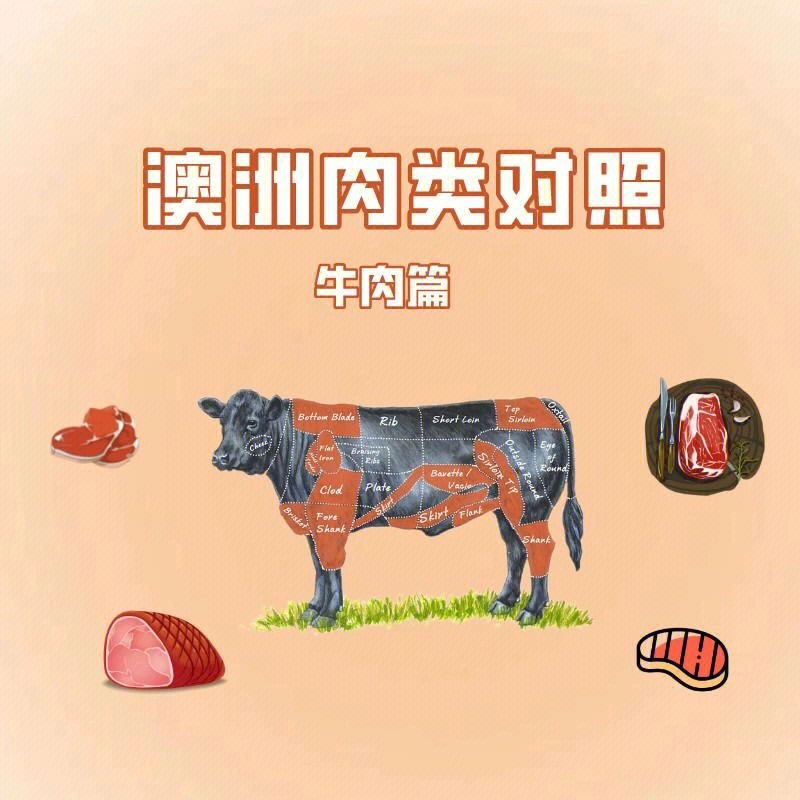 牛肉用英语怎么说图片