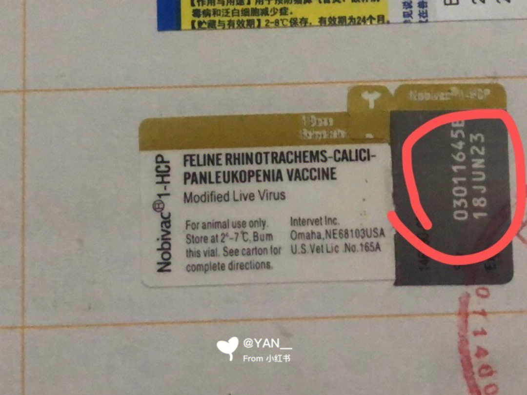 英特威疫苗真假图片