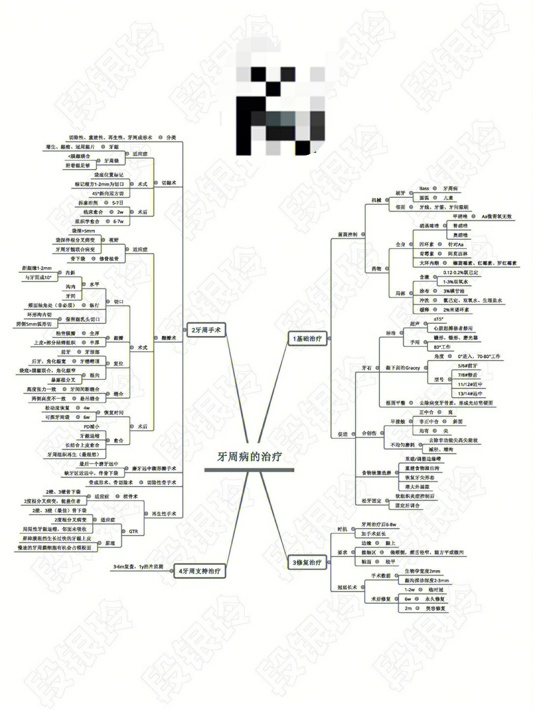 口的思维导图生字版图片