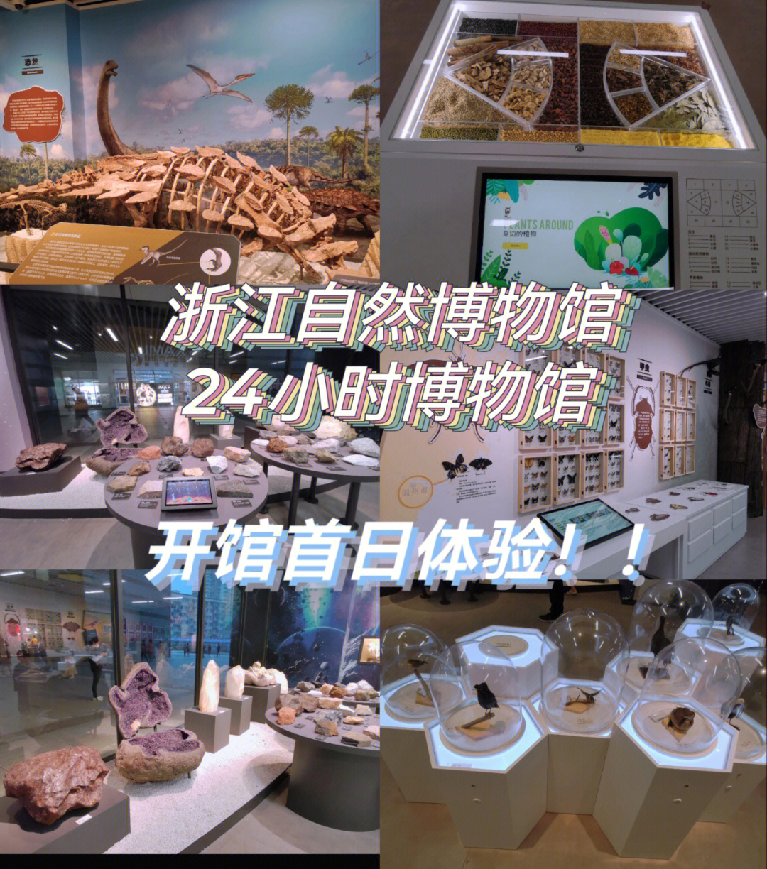 杭州昆虫博物馆图片