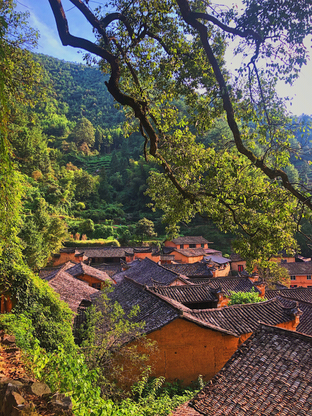 丽水松阳杨家堂村