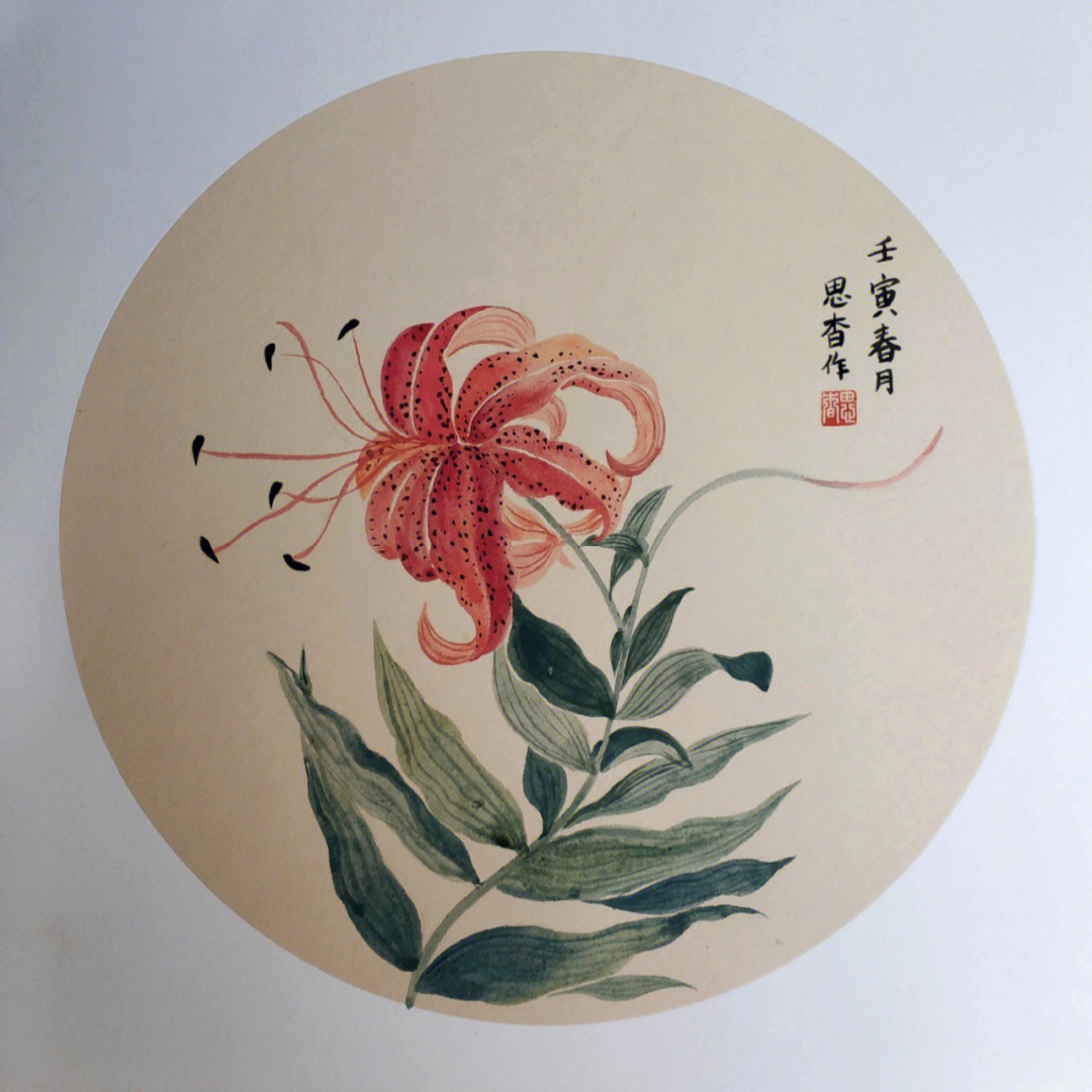 国画卷丹花没骨